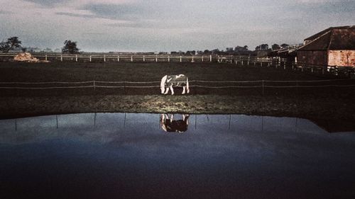 Reflection of built structure in water