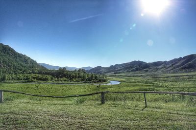 Scenic view of field against sky