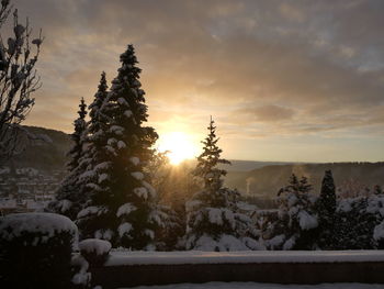 Sonnenaufgang wintermorgen 