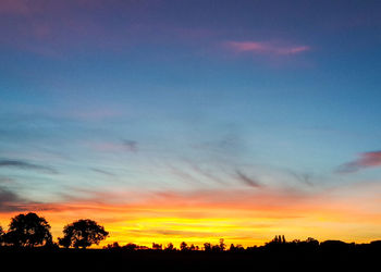 Silhouette of trees at sunset