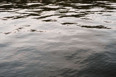 Full frame shot of rippled water