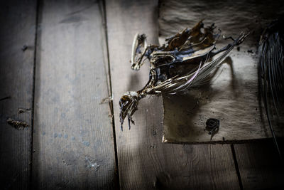 High angle view of dry leaf on wooden table