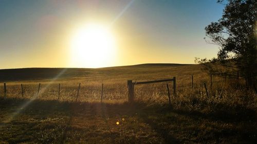 Scenic view of grassy field against sky