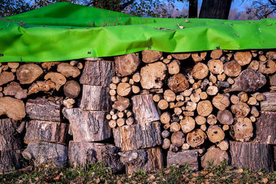 Stack of logs in forest