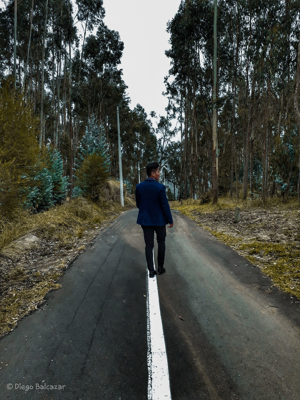 tree, rear view, plant, direction, the way forward, one person, full length, road, real people, transportation, lifestyles, walking, leisure activity, nature, growth, casual clothing, day, diminishing perspective, outdoors