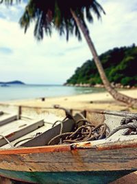 Close-up of driftwood on beach