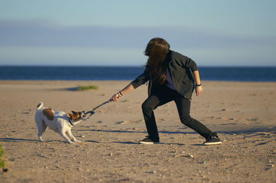 Full length of a dog on beach