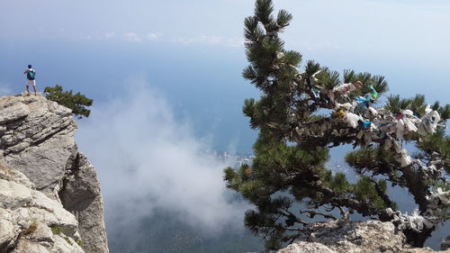 Rear view of man standing on rock against sky