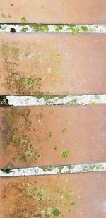 High angle view of footpath
