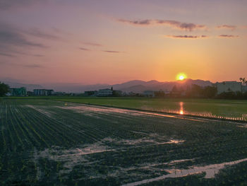 Scenic view of field against sky during sunset