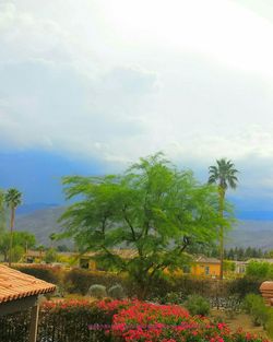 Scenic view of field against cloudy sky