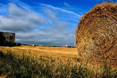 Close-up of hay on agricultural field against blue sky