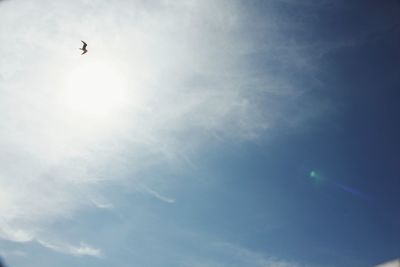 Low angle view of bird flying against sky