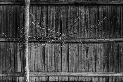 Wooden plank on wooden wall