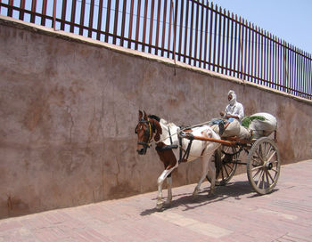 Man riding horse cart on street