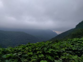 Scenic view of mountains against cloudy sky