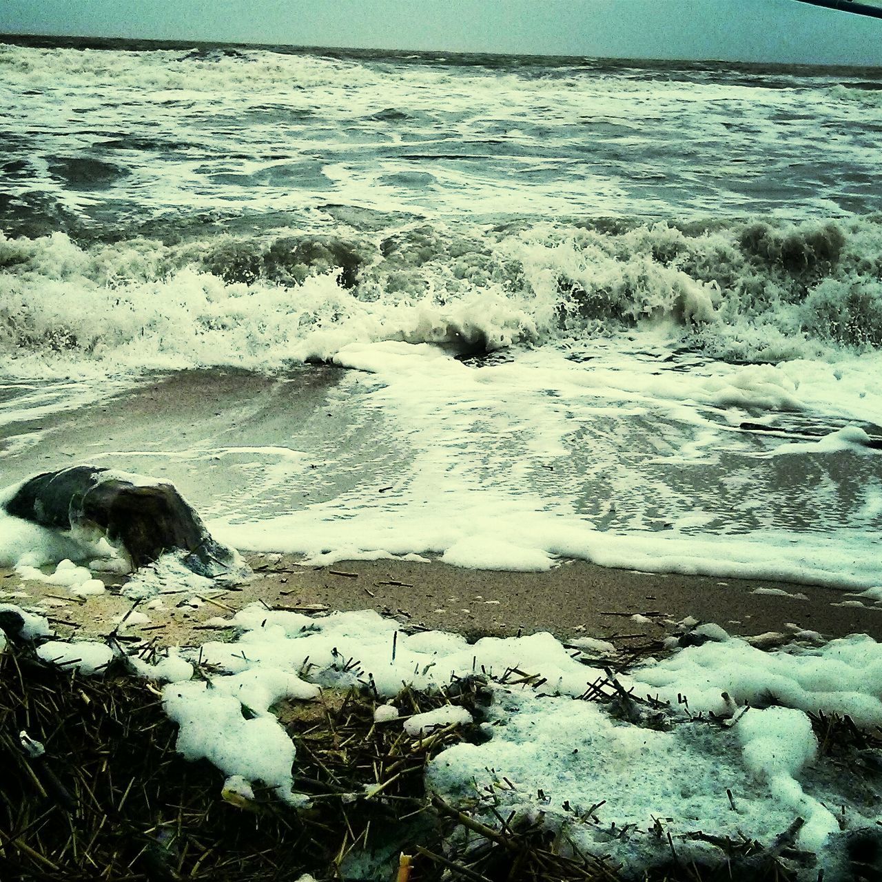 water, sea, surf, nature, wave, tranquility, beauty in nature, shore, high angle view, scenics, tranquil scene, beach, rock - object, outdoors, day, no people, motion, idyllic, non-urban scene, winter