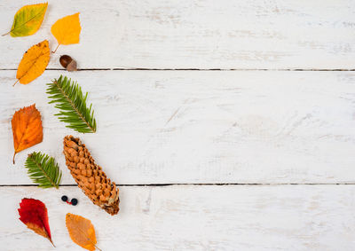 High angle view of fruits on table against white wall