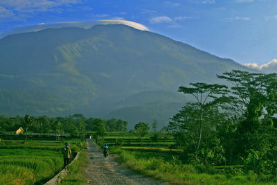 View of mount lawu in ngawi east java indonesia