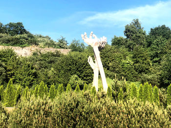 Plants and trees on field against sky