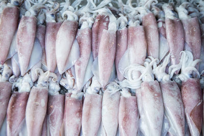 Close-up of squids for sale in market