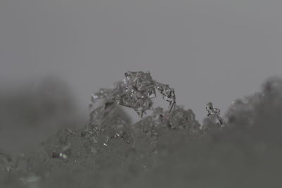 Close-up of snow against blurred background