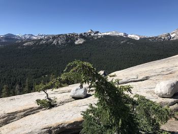 Scenic view of landscape against clear sky