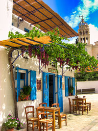 Potted plants on table at sidewalk cafe against buildings