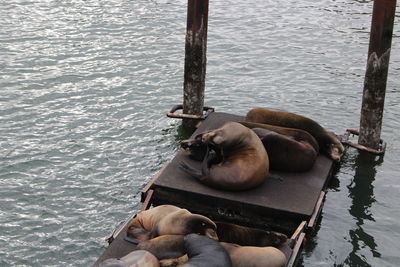 Low section of man resting in container by sea