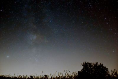 Perseids, shooting star seen next to the milky way above the field