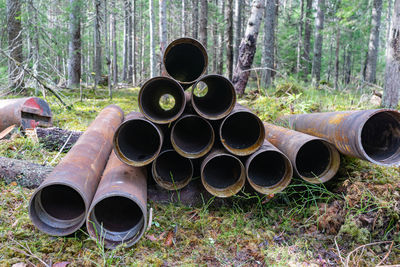 Stack of pipes on field by trees in forest