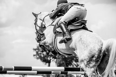 Man riding horse