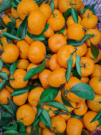 Full frame shot of orange fruits for sale at market stall