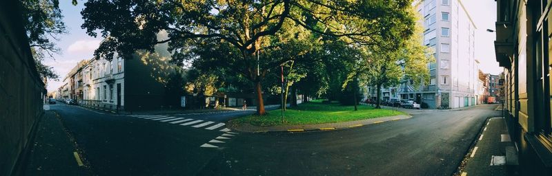 Road amidst trees and buildings in city