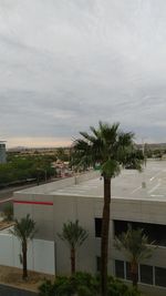 Palm trees by building against sky