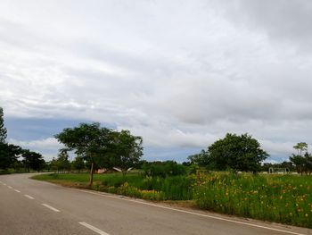 Road by trees against sky