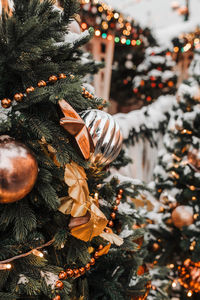 Close-up of christmas tree