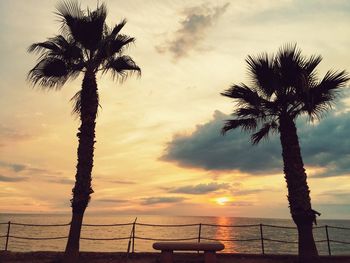 Silhouette palm trees on beach against sky during sunset