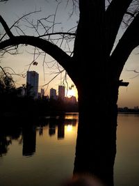 Reflection of silhouette trees in lake against sky during sunset