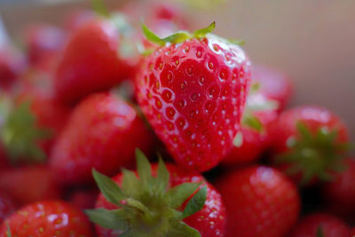 Close-up of strawberries