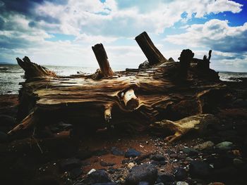 View of city on beach