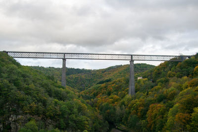 Bridge over trees in forest against sky