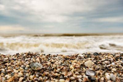 Surface level of pebbles on beach against sky