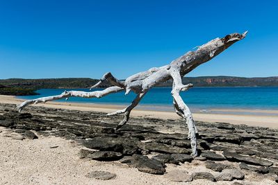 Scenic view of beach against clear blue sky