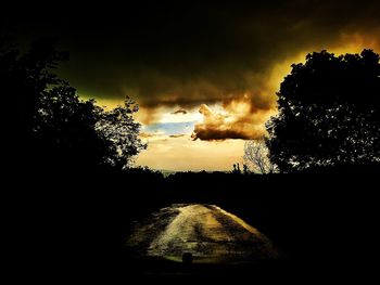 Silhouette trees on field against sky at sunset