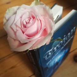 High angle view of rose bouquet on table