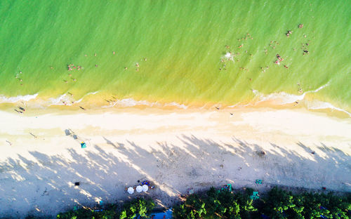 High angle view of grass on shore