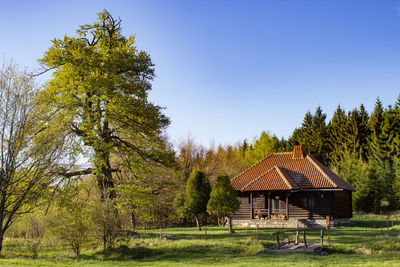 House amidst trees on field against sky