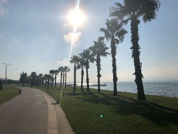 Panoramic view of palm trees against sky