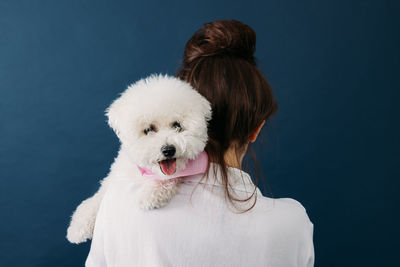 Close-up of dog against blue background